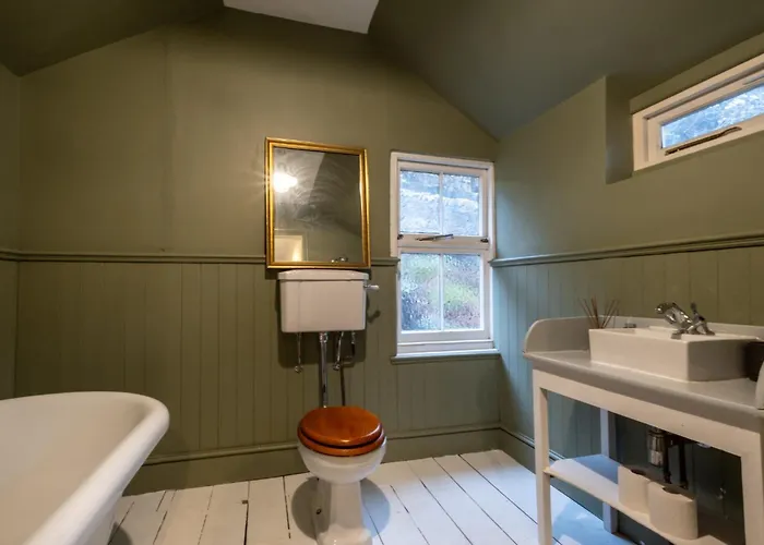 Graceful Period In *